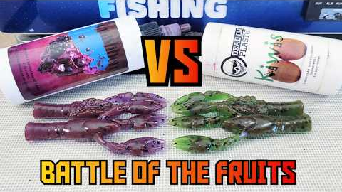 Smashberry VS Kiwis! Battle Of The Soft-Bait Fruit Morphs