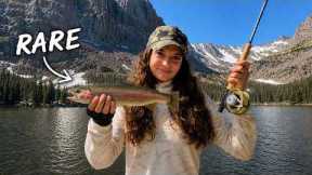 I Tried Fly Fishing for the FIRST Time...