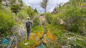 Fly Fishing the DRIEST State in America for 3 Days! (Nevada Trout Fishing)