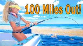 100 Miles Offshore Catching Massive Blackfin Tuna, Mahi and Snappers! (Catch & Cook)