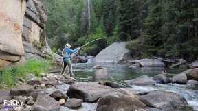 Catching 100 Trout Here is Easy... (Fly Fishing Perfection)