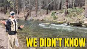 Beginner Fly Fishing: 10 Mistakes We Didn’t Realize We Were Making