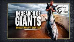 In Search of Giants | The Biggest Tuna I’ve Ever Seen!
