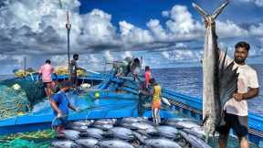 Great! On The Twelfth Day We Stayed In The Deep Sea And Caught Huge Fish | Day-12 | Deep Sea Fishing