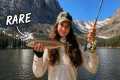 I Tried Fly Fishing for the FIRST