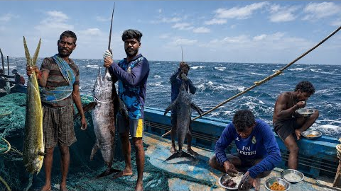 UNBELIEVABLE CATCH‼️We Caught a GIANT Marlin in the Middle of the Ocean!🤩 The Tenth Day‼️