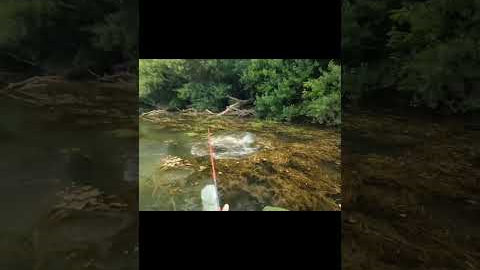Fishing Unknown Waters |  #fishing