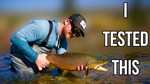 3 Fly Mistakes That Cost You Big Brown Trout