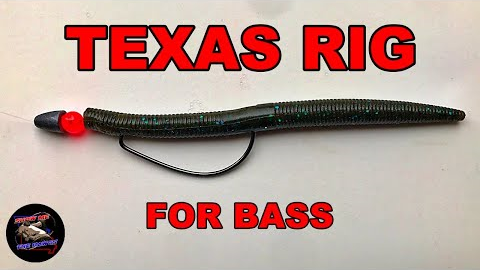 How to Tie a TEXAS RIG for Bass | Best Bass Rigs for Beginners