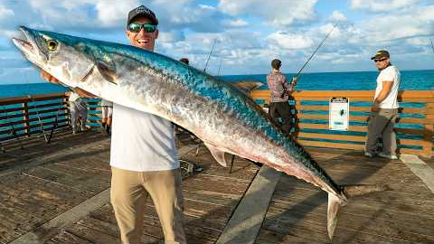 Catch The Biggest Pier Fish, Win $1000