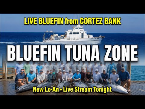 LIVE from Bluefin Tuna Grounds! Night Jig Fishing | 200lb Fish San Diego Fleet 🎣🔥