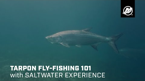 Tarpon Fly Fishing Basics: Gear, Technique & Strategy With Saltwater Experience