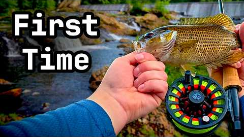 Fly Fishing With ZERO Experience! (Easier than you think)