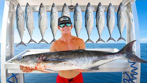 MOST Expensive vs LEAST Expensive fish! Catch Clean Cook (Bonito)