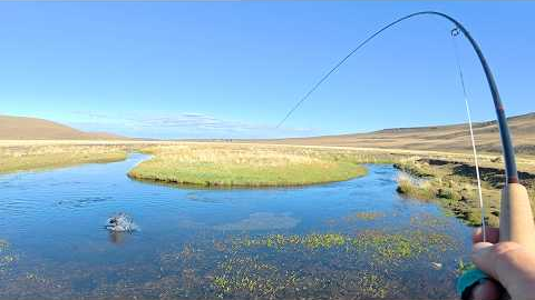I Visited One of the Best Spring Creeks for Brown Trout - Unforgettable Fly Fishing