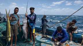 UNBELIEVABLE CATCH‼️We Caught a GIANT Marlin in the Middle of the Ocean!🤩 The Tenth Day‼️