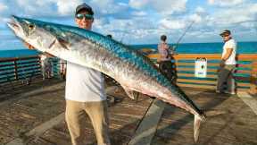 Catch The Biggest Pier Fish, Win $1000