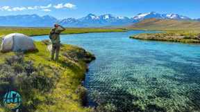 Fly Fishing and Camping Montana for the First Time... This Place is INCREDIBLE!