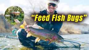 This Fly CRUSHES TROUT! | Feed Fish Bugs Ep. 1