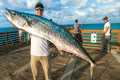 Catch The Biggest Pier Fish, Win $1000