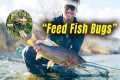 This Fly CRUSHES TROUT! | Feed Fish
