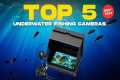 ✅Top 5 Best Underwater Fishing