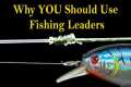 Fishing Leaders & Why YOU Need to 