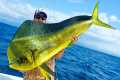 Giant Dolphin Caught using Berkley