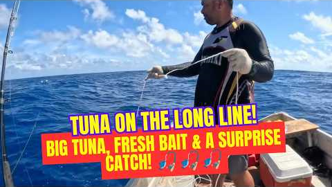 TUNA ON THE LONG LINE! 🎣 Big Tuna, Fresh Bait & a Surprise Catch!