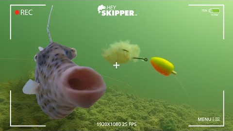 Underwater SPY Camera: Whats Stealing your Fishing Bait?! (strange fish discovered!)