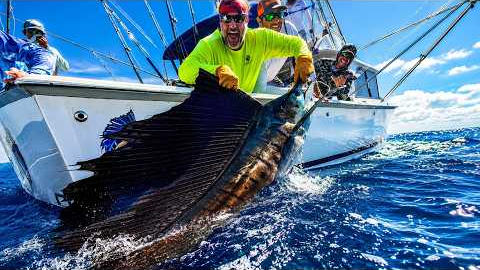 FOUR Hours of Saltwater Fishing for Tuna, Mahi, Snapper, Grouper & Sailfish (UNCUT Offshore Fishing)