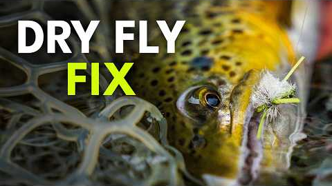 How to Fish Dry Flies and Actually Catch Trout — Fly Fishing for Beginners | Ep. 191