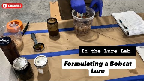 Creating a Bobcat Lure From Scratch 