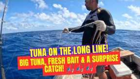 TUNA ON THE LONG LINE! 🎣 Big Tuna, Fresh Bait & a Surprise Catch!