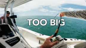 So you wanna catch BIG FISH? | Catch and Cook | Texas Offshore Fishing