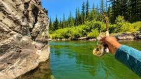 My Biggest Brown Trout EVER! (Fly Fishing)