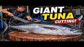 Amazing Tuna Cutting Skills 🔪 | Giant Tuna Cutting & Perfect Tuna Slicing