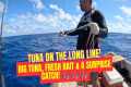 TUNA ON THE LONG LINE! 🎣 Big Tuna,