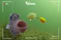 Underwater SPY Camera: Whats Stealing 
