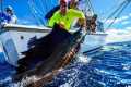 FOUR Hours of Saltwater Fishing for