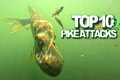TOP 10 Underwater Pike Attacks ! Best 