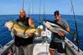 FOUR Hours UNCUT Golden Tilefish