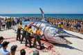 How Do Fishermen Catch 100 Giant