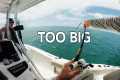 So you wanna catch BIG FISH? | Catch