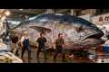Fresh Tuna Seafood Preparation with