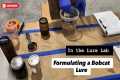Creating a Bobcat Lure From Scratch 